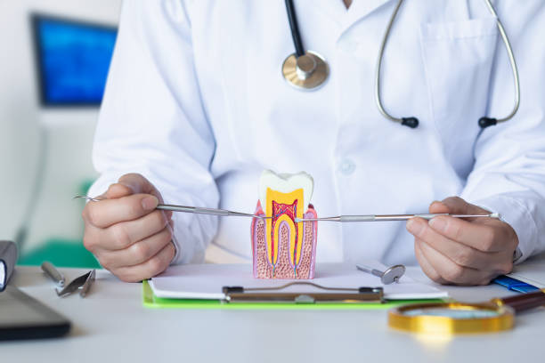 Best Emergency Dentist for Knocked-Out Tooth in Fruitdale, CA